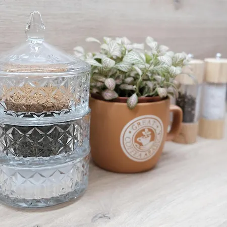 Apartament Space&more, Dmowskiego - 20 Minut Do Rynku, Self Check-in 24h, Parking