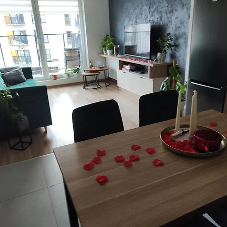 Spacemore Apartments, Dmowskiego - 20 Minut Do Rynku, Self Check-in 24h, Parking, Bikes Апартаменты *